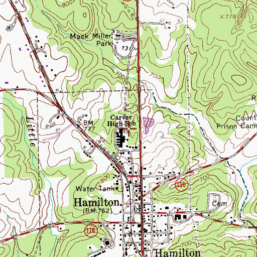 Topographic Map of City of Hamilton, GA