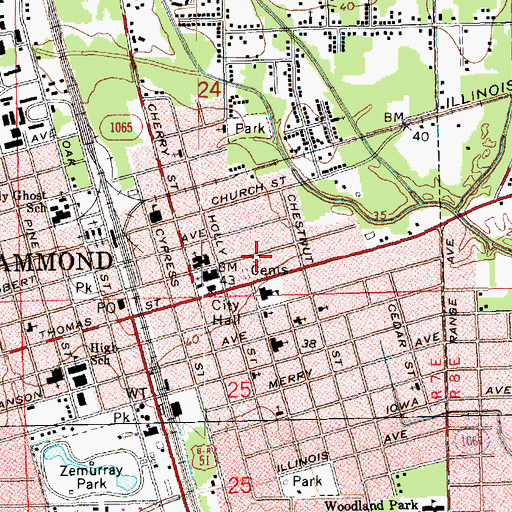Topographic Map of City of Hammond, LA
