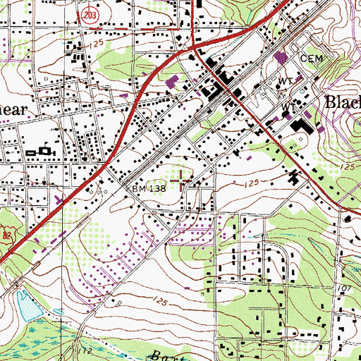 Topographic Map of City of Blackshear, GA