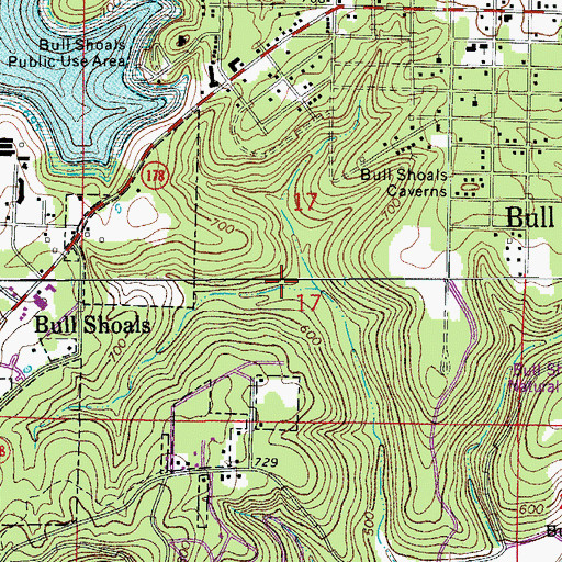 Topographic Map of City of Bull Shoals, AR