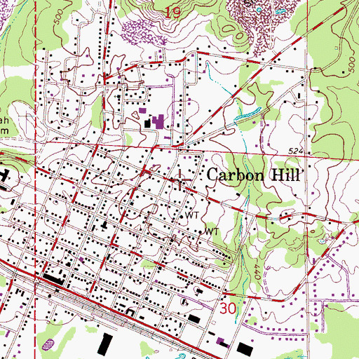 Topographic Map of City of Carbon Hill, AL