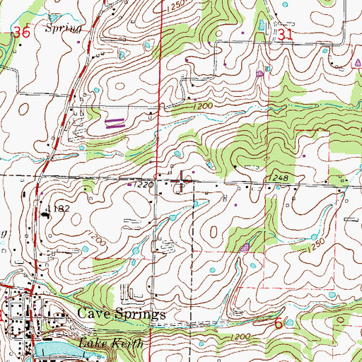 Topographic Map of City of Cave Springs, AR