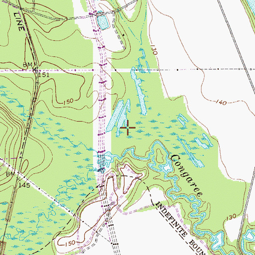 Topographic Map of City of Cayce, SC