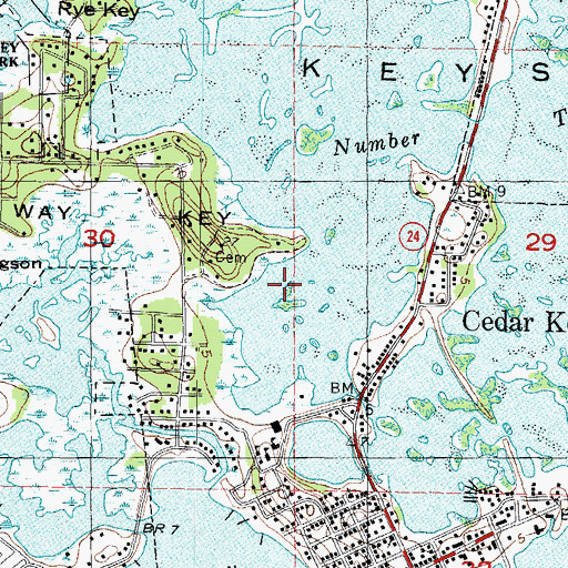 Topographic Map of City of Cedar Key, FL