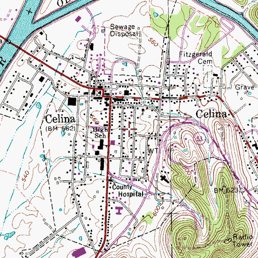 Topographic Map of City of Celina, TN