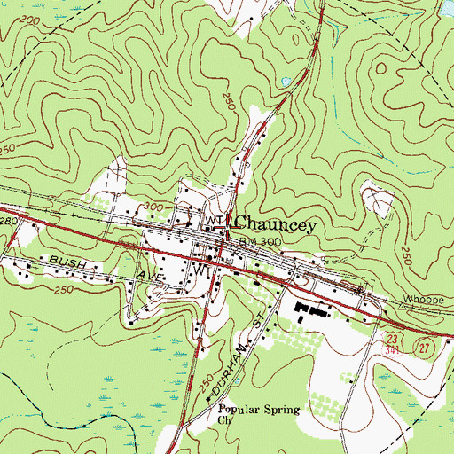 Topographic Map of City of Chauncey, GA