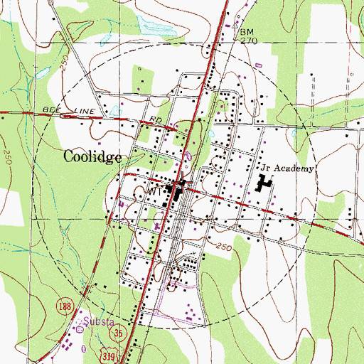 Topographic Map of City of Coolidge, GA