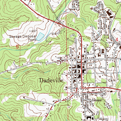 Topographic Map of City of Dadeville, AL