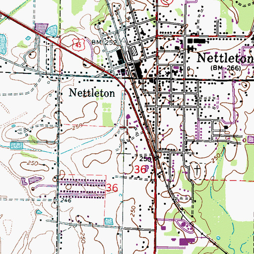 Topographic Map of City of Nettleton, MS