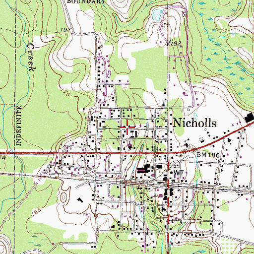 Topographic Map of City of Nicholls, GA
