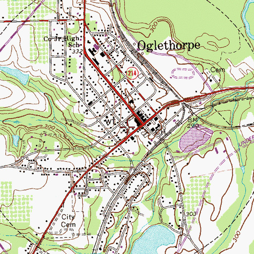Topographic Map of City of Oglethorpe, GA