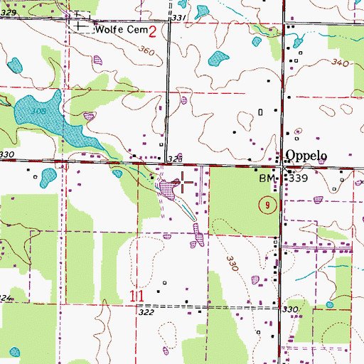 Topographic Map of City of Oppelo, AR