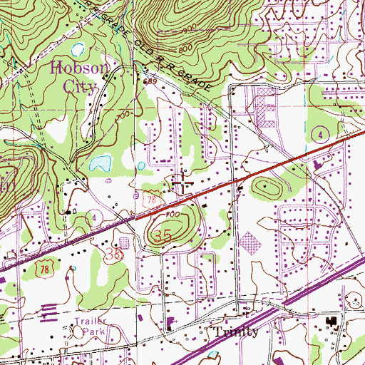 Topographic Map of City of Oxford, AL