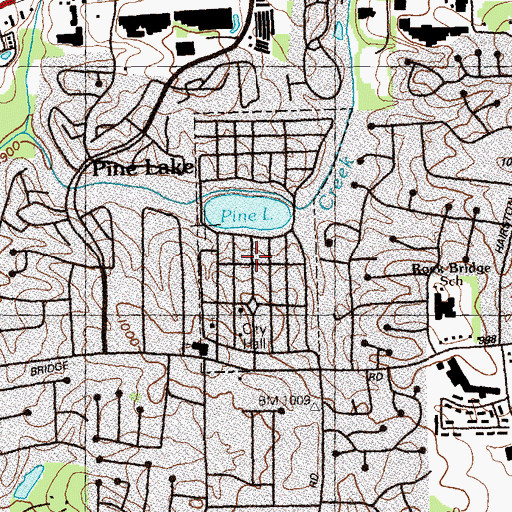 Topographic Map of City of Pine Lake, GA