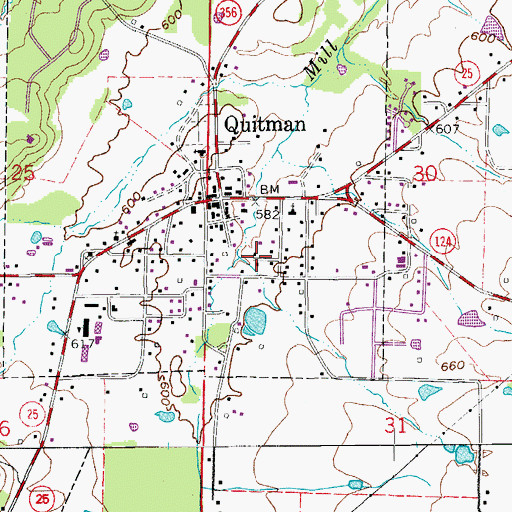 Topographic Map of City of Quitman, AR