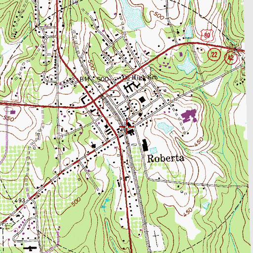 Topographic Map of City of Roberta, GA