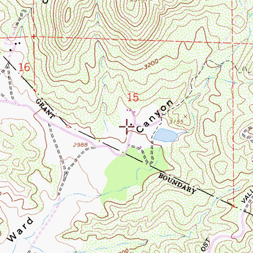 Topographic Map of Chaney Ranch, CA