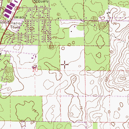 Topographic Map of City of High Springs, FL