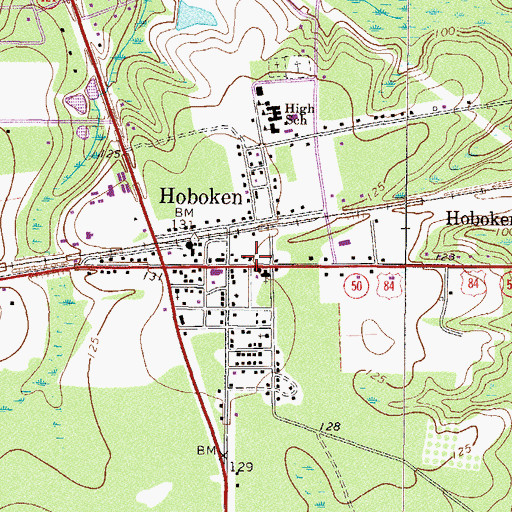 Topographic Map of City of Hoboken, GA