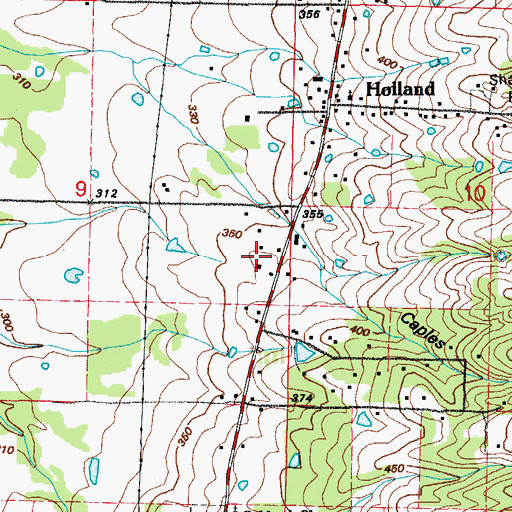 Topographic Map of City of Holland, AR