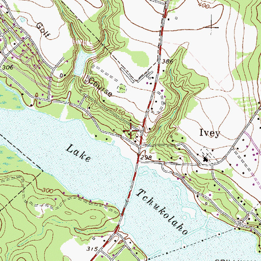 Topographic Map of City of Ivey, GA