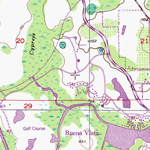 Topographic Map of City of Lake Buena Vista, FL