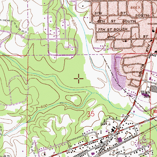 Topographic Map of City of Lanett, AL
