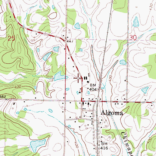Topographic Map of Town of Algoma, MS