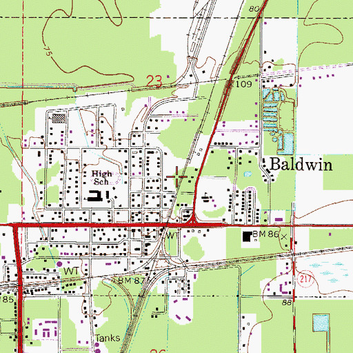 Topographic Map of Town of Baldwin, FL