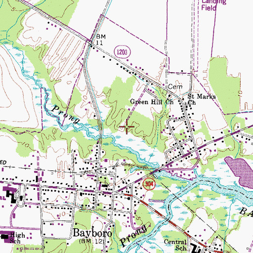 Topographic Map of Town of Bayboro, NC