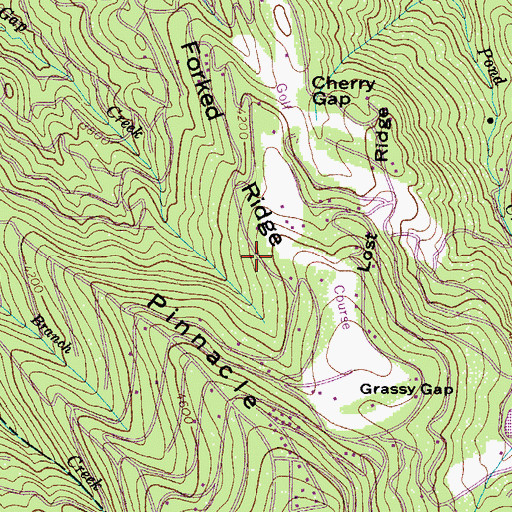 Topographic Map of Town of Beech Mountain, NC
