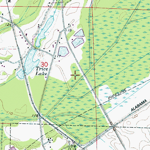 Topographic Map of Town of Boligee, AL