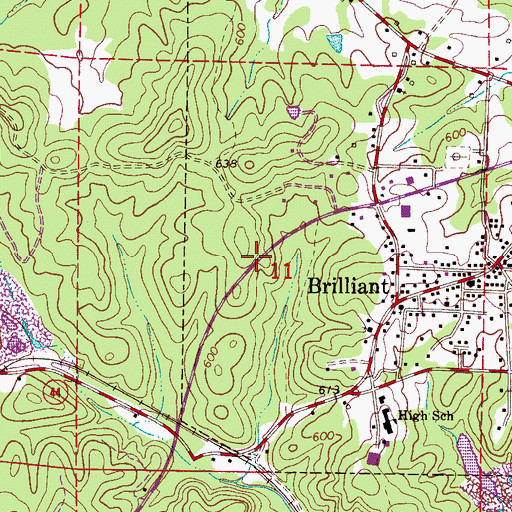 Topographic Map of Town of Brilliant, AL