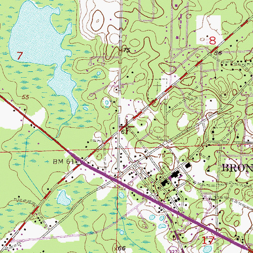 Topographic Map of Town of Bronson, FL