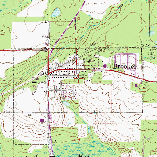 Topographic Map of Town of Brooker, FL