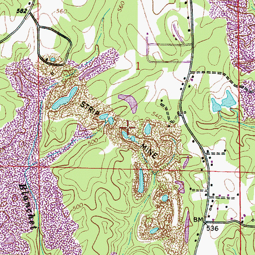 Topographic Map of Town of Brookwood, AL