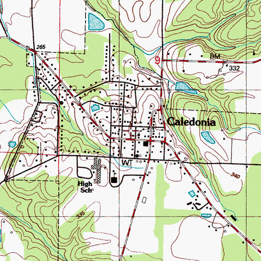 Topographic Map of Town of Caledonia, MS