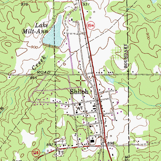 Topographic Map of City of Shiloh, GA