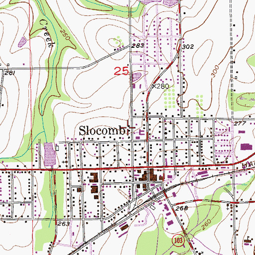 Topographic Map of City of Slocomb, AL