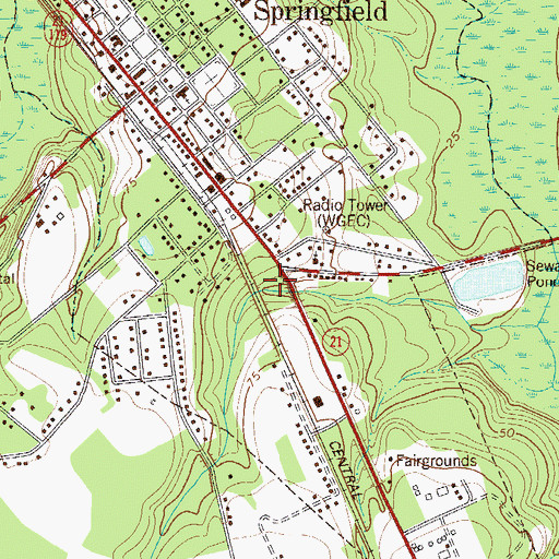 Topographic Map of City of Springfield, GA