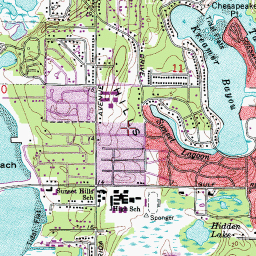 Topographic Map of City of Tarpon Springs, FL