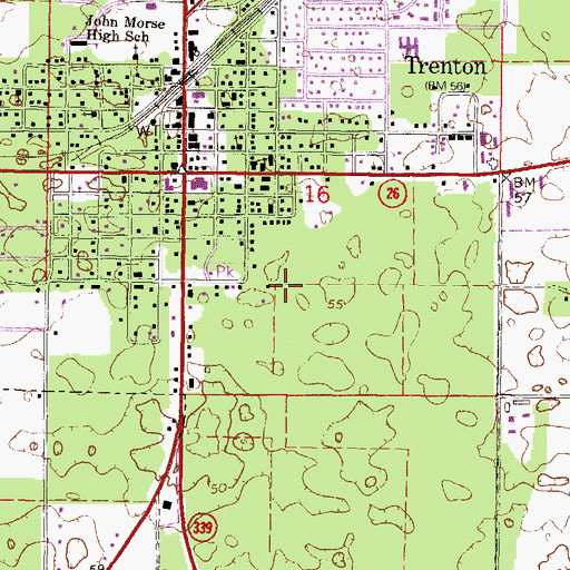 Topographic Map of City of Trenton, FL