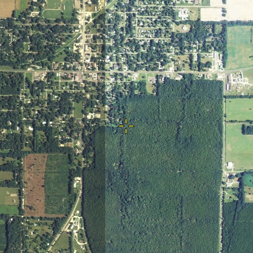 Aerial/Satellite Image of City of Trenton, FL