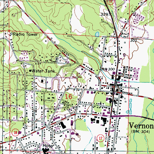 Topographic Map of City of Vernon, AL