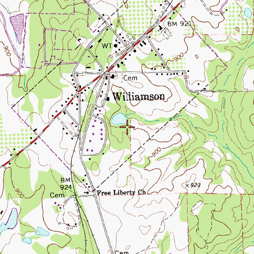 Topographic Map of City of Williamson, GA