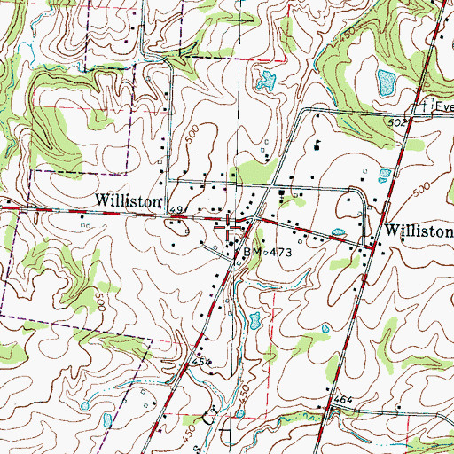 Topographic Map of City of Williston, TN