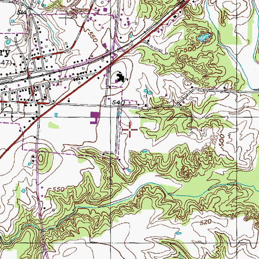 Topographic Map of Town of Henry, TN