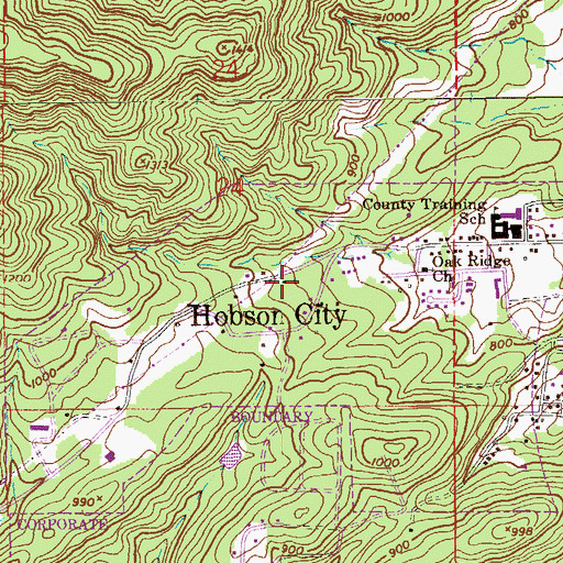 Topographic Map of Town of Hobson City, AL