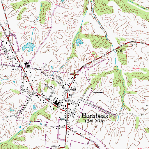 Topographic Map of Town of Hornbeak, TN