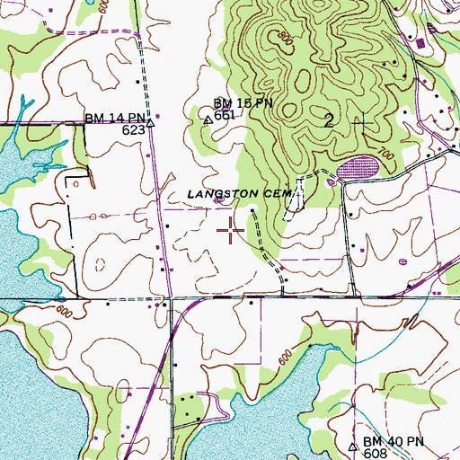 Topographic Map of Town of Langston, AL